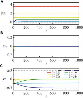 Self-Propelled Motion of the Camphor Float With n-Fold Rotational Symmetry